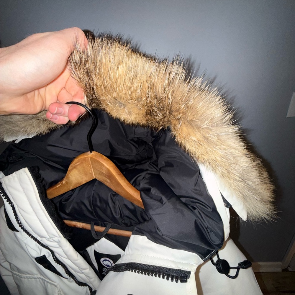 Canada Goose - Expedition Parka White with Coyote Fur - Picture 8 of 13
